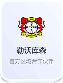 开云体育勒沃库森官方区域合作伙伴